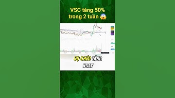 Nguyên nhân 😱😱😱 cổ phiếu VSC tăng nhanh chóng mặt #chungkhoan