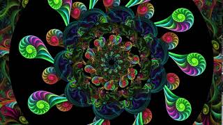 Nautilus Flower Kaleido 4