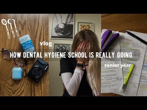 senior year | dental hygiene student vlog | this is getting tough...