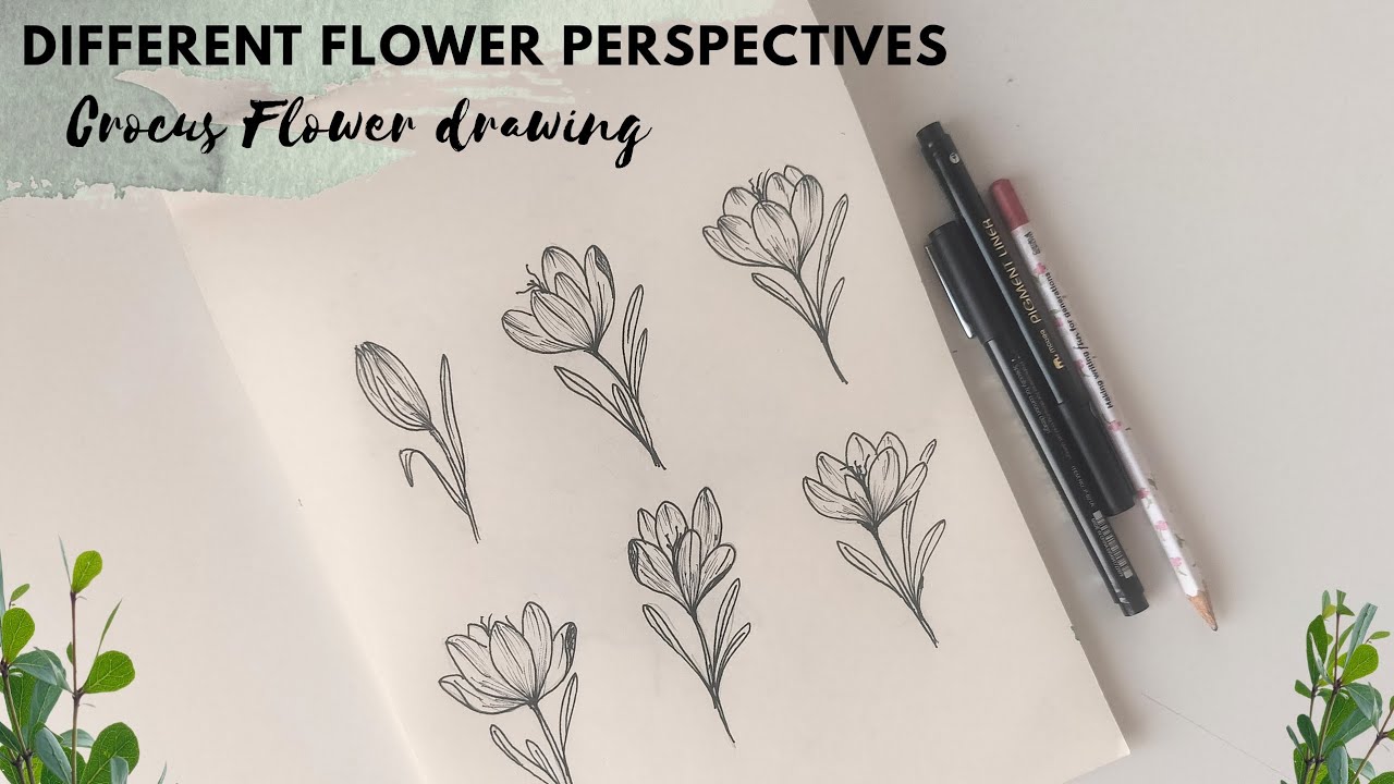 How to draw flowers in perspective. 6 different crocus flower perspectives drawing. 