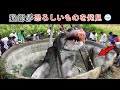漁師たちは偶然奇妙な生き物を捕まえてしまい、村人たちは恐怖に陥りました。 ビーチで見つけた最も驚くべき発見 10 選!#カメラ #神秘 #动物 #生き物 #top #top10 #世界 #世界一