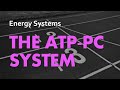 ATP-PC System Quiz
