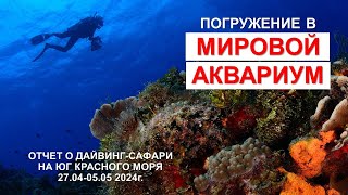 [ПОНЕДЕЛЬНИК, 13.05.24 , 20-00 мск] Египет: Приключения дайверов в мировом аквариуме.