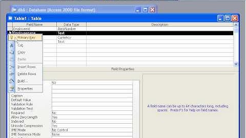 MS Access 2003 Part 2) Table in Dari / Farsi Omar Akbari