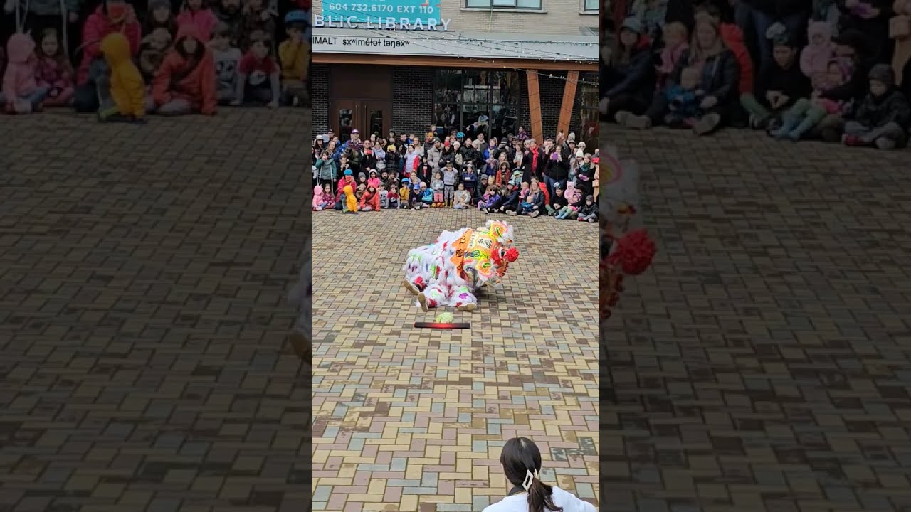 Lion Dance Chinese New Year