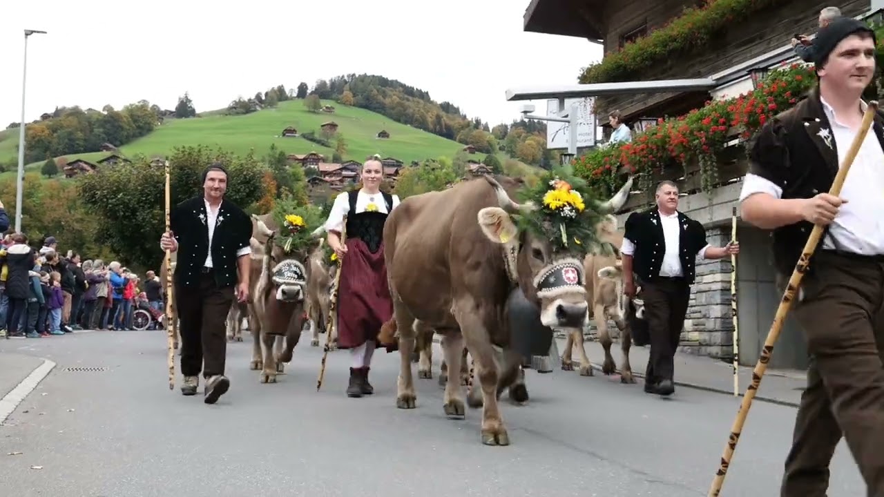 Alpabzug Wilerallmi 2024