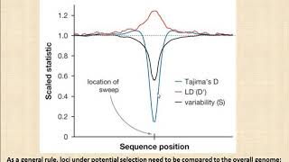 Detecting selection in genomes - part a