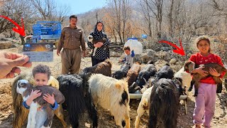 The Fight for Survival in the Zagros:A True Story of a Nomadic Family and Their Journey to Buy Sheep