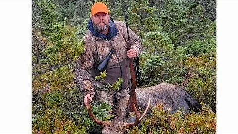 Successful moose hunting trip into the great Newfoundland outdoors.