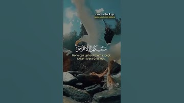 اولم يروا الى الطير فوقهم صافات ويقبضن | سورة الملك | هبدالملك محمد Surah Al Mulk