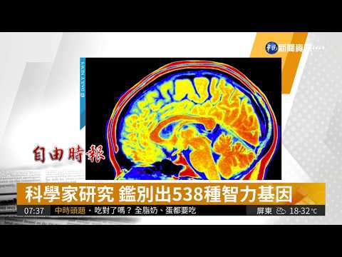 智力基因影響健康 越聰明越長壽!