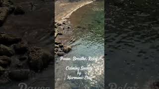 Breathe with nature! #relaxingmusic #youtubeshorts #meditationmusic