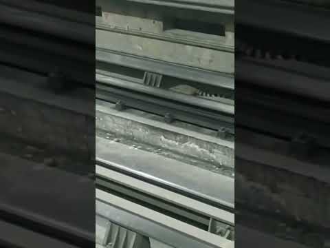 Captan Cacomixtle en las vías del Metro, Línea 7. #Video