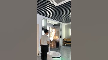 #oled Transparent OLED navigator robot display #OLED #transparentoled