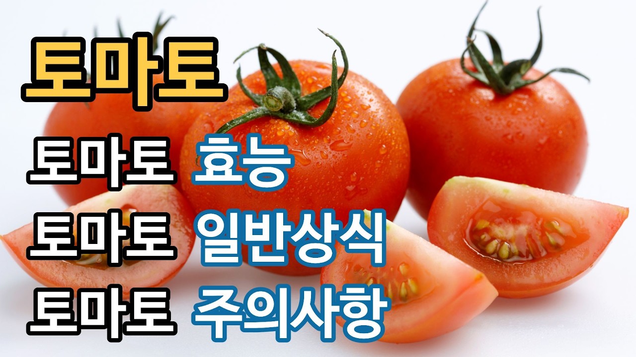 의사들이 가장 두려워하는 과일? 혈관 노화와 암세포를 잡는 빨간 보석 토마토의 과학적 진실