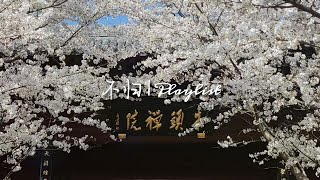 Playlist - 偶入繁花深处 | Chinese Fantasy Music