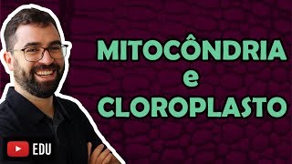 Mitocôndria e Cloroplasto - Aula 23 - Módulo I: Biologia Celular | Prof. Gui