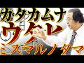 【カタカムナウタヒ】丸山修寛先生による身体をつかった詠唱。