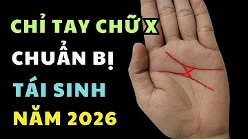 Chữ X Báo Hiệu Gì Cho Năm 2026? Hành Trình Bất Ngờ Đang Chờ Bạn