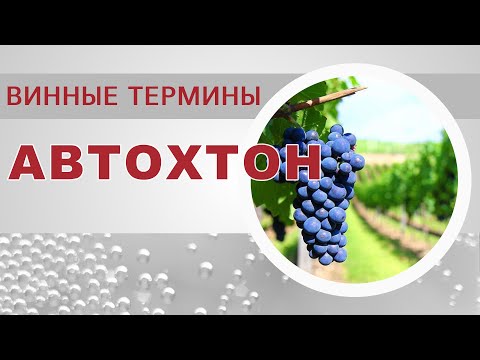 Автохтонные сорта винограда  Винные термины