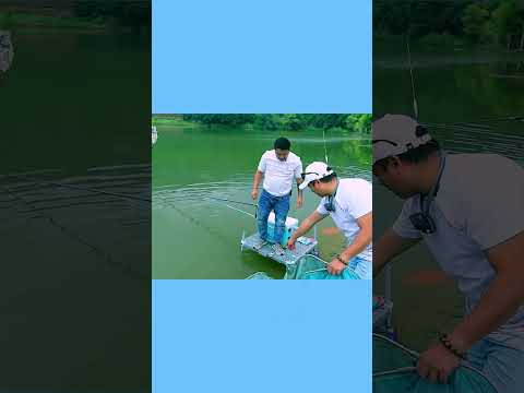 Câu Cá Mè Khủng Hồ Ná Luộc – Bí Kíp Chuyển Cần 6.3m Hiệu Quả! (4/4) #fishing #fish #carpfishing