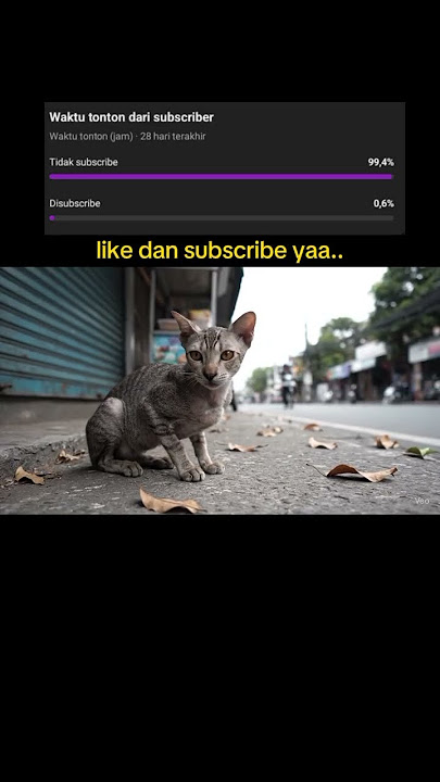 #ibucover #lewatberanda #storywa #ibu #cat #nizamkucinglucu #funny