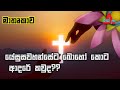 දවසේ සිතුවිල්ල|Christians Sinhala Preaching |Thought For The Day 11June2021| Sri lanaka |markfm