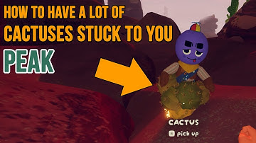 How to Have a lot of cactuses stuck to you in PEAK for the Needlepoint Badge Achievement and Sunhat👒