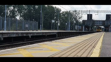 *Rare* Class 317 on Stanstead Express passing Broxbourne with a MEGA HORN