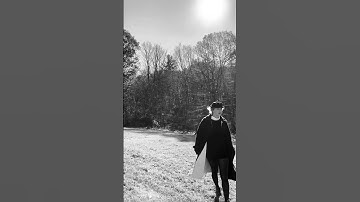 Taylor Swift - closure / Spotify Canvas