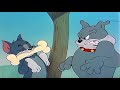 Tom and Jerry the truce hurts and Jerry in plane