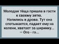 Теща Схватила Зятя за Ширинку! Сборник Свежих Анекдотов! Юмор!