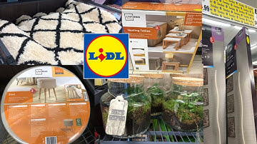 This week in lidl MIDDLE OF LIDL #November