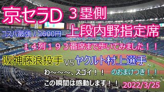 8月13日(日)　京セラドーム　阪神vsヤクルト　内野指定席３塁側　ペアチケット