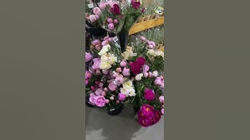 Just appreciating Trader Joe’s peonies selection 💐#shorts #peonies #flowers #traderjoes