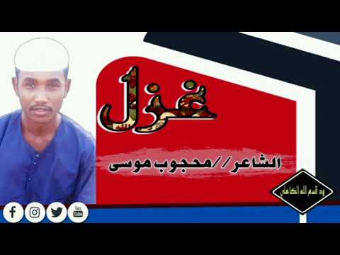 الشاعر محجوب موسى