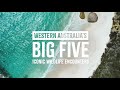 Western Australia's Big Five Iconic Wildlife Encounters