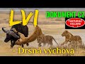 48 lvi  drsn vchova dokument  predtoi zblzka