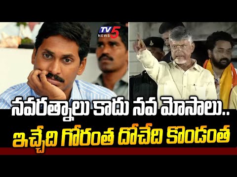 పిచ్చి సన్నాసి.. | Chandrababu SENSATIONAL COMMENTS ON YS Jagan | AP Politics | TV5 News - TV5NEWS