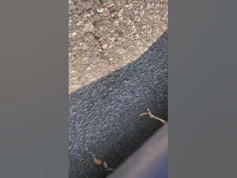 2013 Chevy Cruze LT Loss of Power and Knocking with Smoke from engine