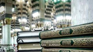 Mohammed Al Naqeeb - Surah Al-'Ala (The Most High)