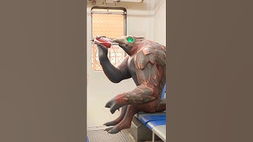 Temple Run Game In Real Life #templerun #templerun2 #games #animation