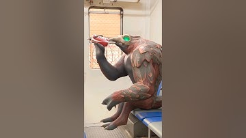 Temple Run Game In Real Life #templerun #templerun2 #games #animation