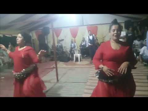 غنيه جديده الراي الستاتي الصغير العود البركي شكون يجري قدامه