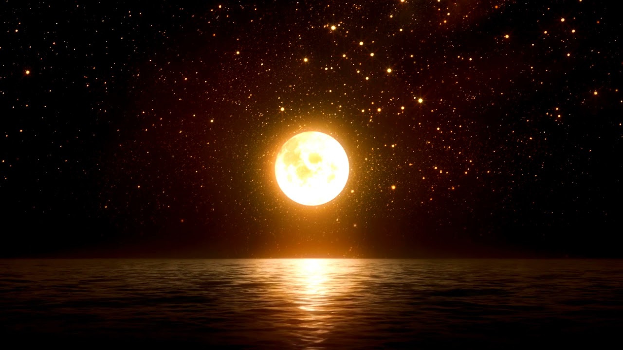 🌙 1ชม  คลายความผูกพัน แสวงหาความจริง+นั่งยามค่ำ