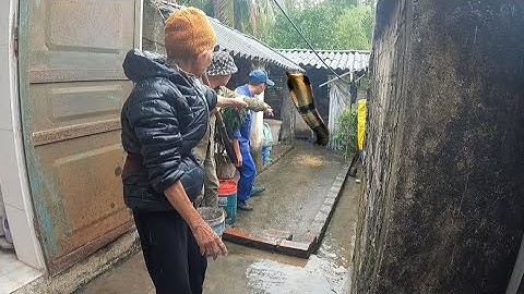 Cuộc Gọi Khẩn Cấp Của Bà Lão Hơn 80 Tuổi Phát Hiện Cặp Rắn Vào Nhà Tấn Công