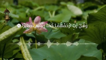 سورة الإسراء الآية : 23-30 - القارئ أويس حجي