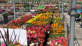 New Arrivals At Walmart Garden Center Spring Inventory April 2024