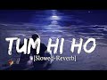 Tum Hi Ho Aashiqui 2 Bollywood Bollywood Song Arijit Singh Song Love Bollywoodsongs Lofi Tum Hi Ho Aashiqui 2 Bollywood Bollywood Song Arijit Singh Song Love Bollywoodsongs Lofi