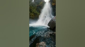 وجعلنا من الماء كل شيء حي  لفضيلة الشيخ د. ياسر الدوسري ||اعذب التلاوات وأجملها 💙🕊